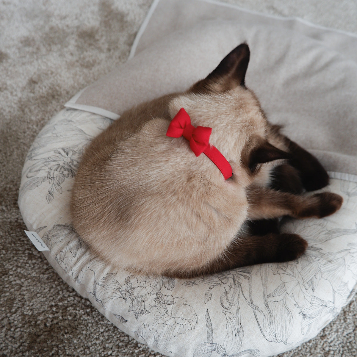 猫にやさしいコットン首輪/リボン【Red】