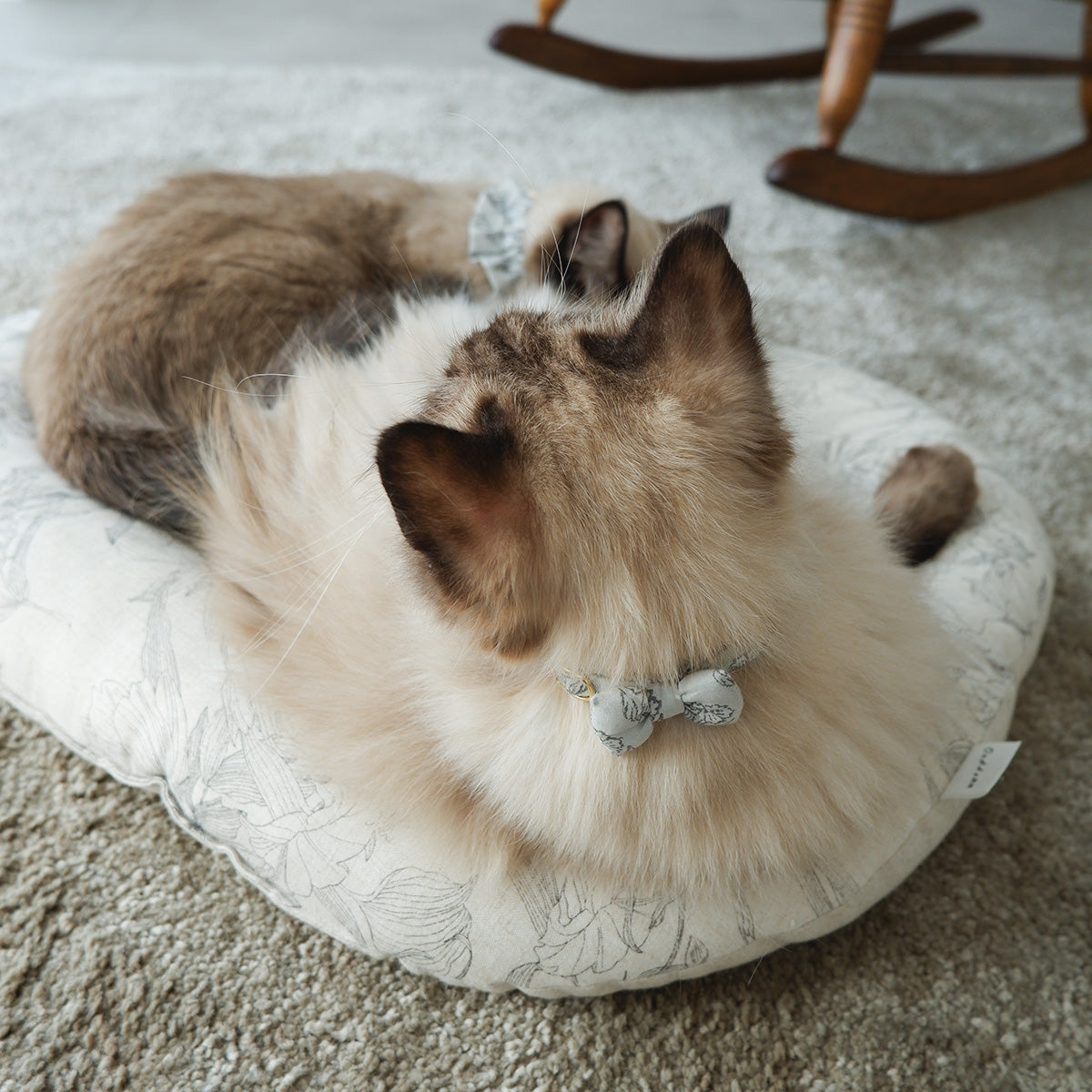 고양이 친화적인 코튼 목걸이/리본【도트미니언/마카롱】 