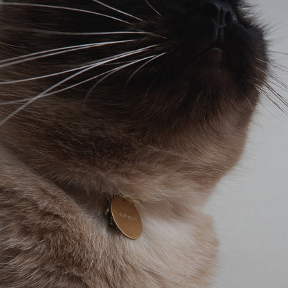 [Limited Quantity | Order Period 8/1-8/3] Order Name Charm (for collars)