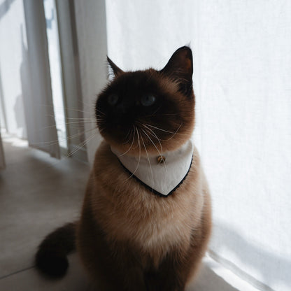 猫にやさしいスタイカラー【Trim Lace/マッシュルーム】