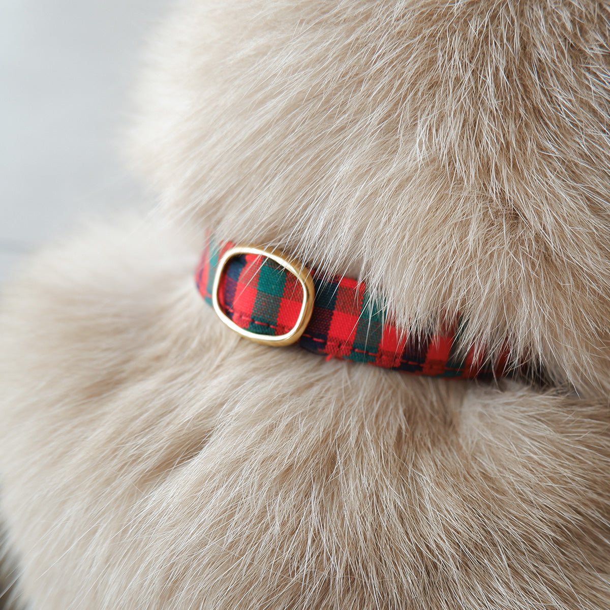 猫にやさしいコットン首輪/リボンなし【Tartan Red】