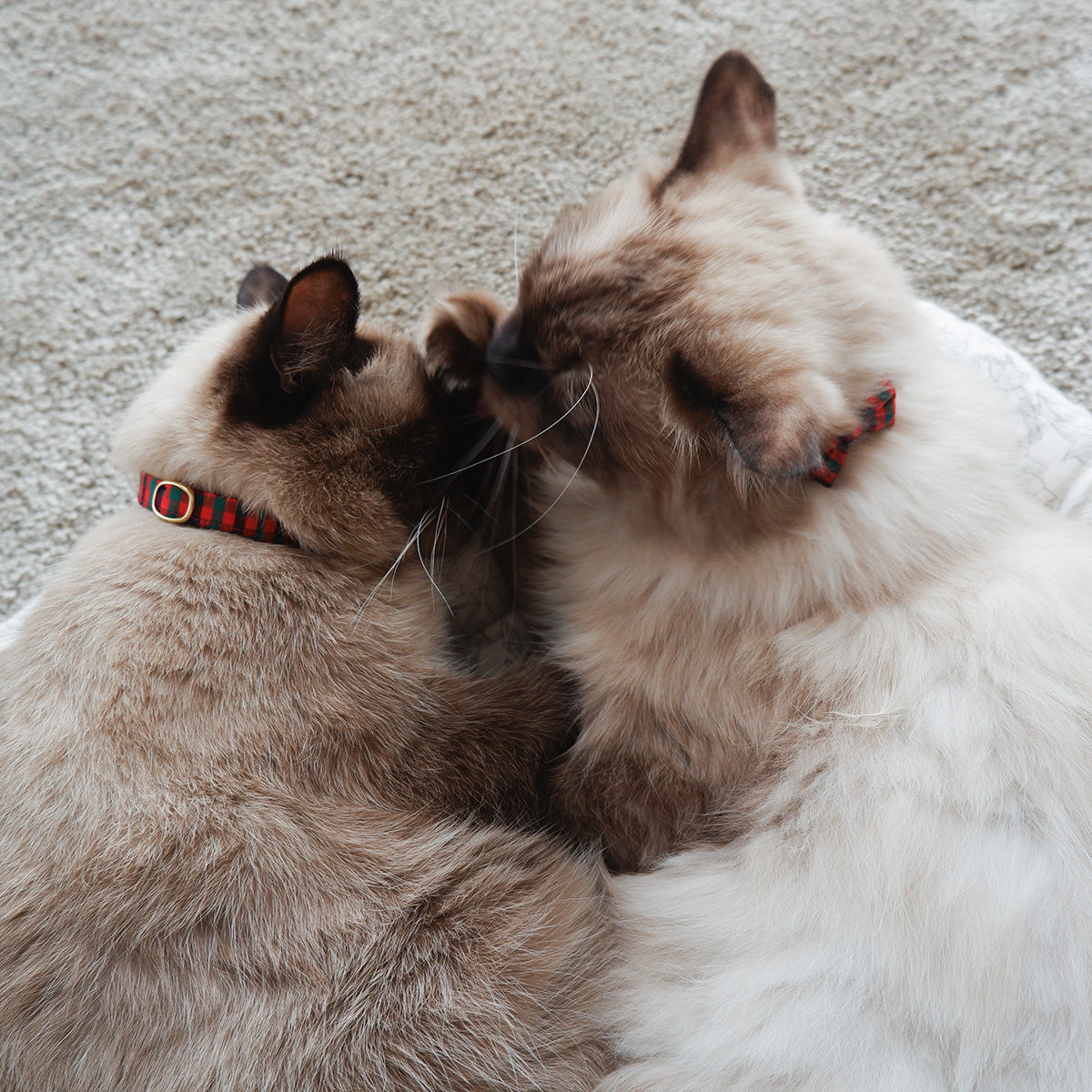 猫にやさしいコットン首輪/リボンなし【Tartan Red】