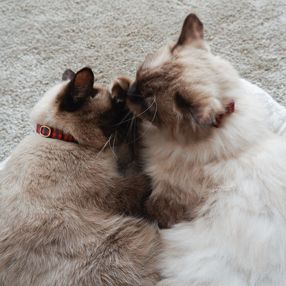 猫にやさしいコットン首輪/リボンなし【Tartan Red】