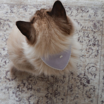 猫にやさしいスタイカラー【Trim Lace/ラベンダー】