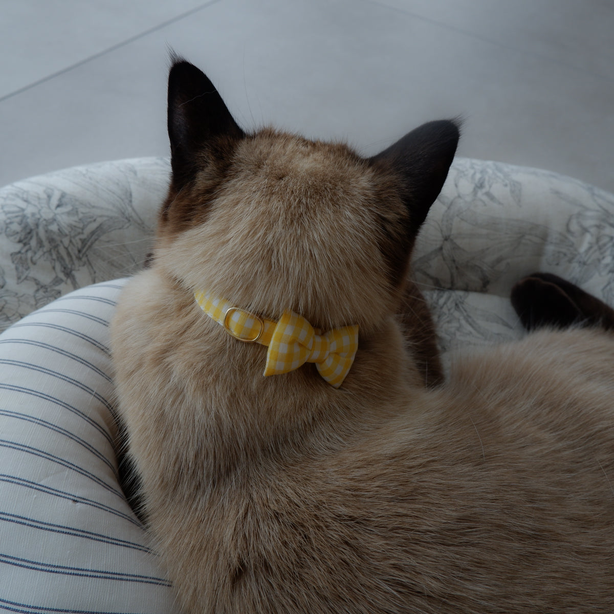 Cat-friendly cotton collar/ribbon [gingham/lemon]