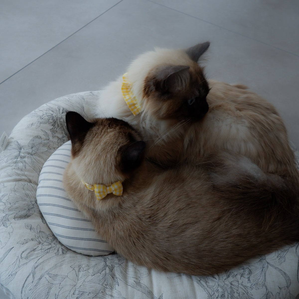 Cat-friendly cotton collar/ribbon [gingham/lemon]