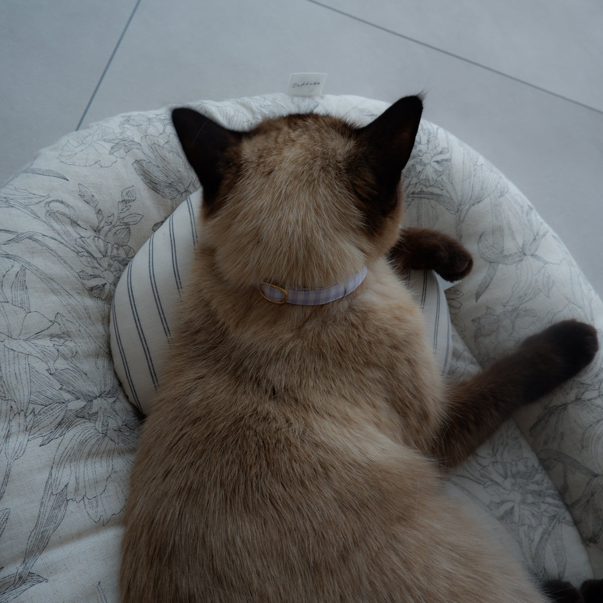 Cat-friendly cotton collar/without ribbon [Gingham/Lavender]