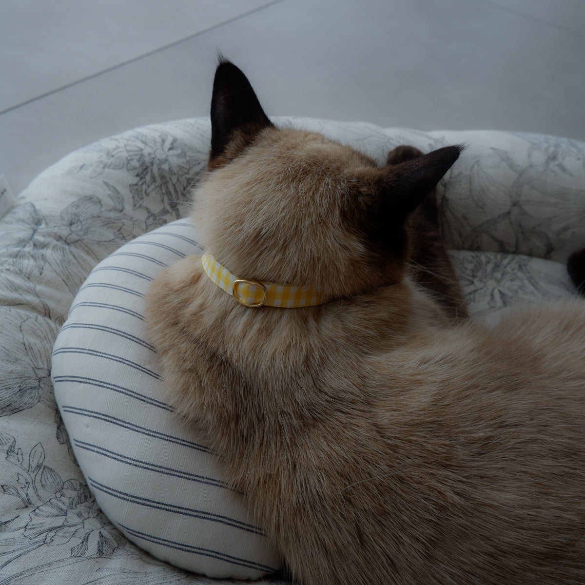 Cat-friendly cotton collar/without ribbon [Gingham/Lemon]