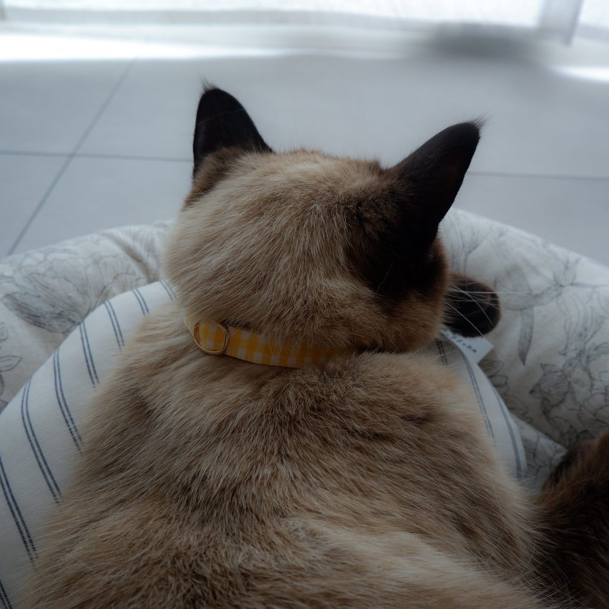 Cat-friendly cotton collar/without ribbon [Gingham/Lemon]