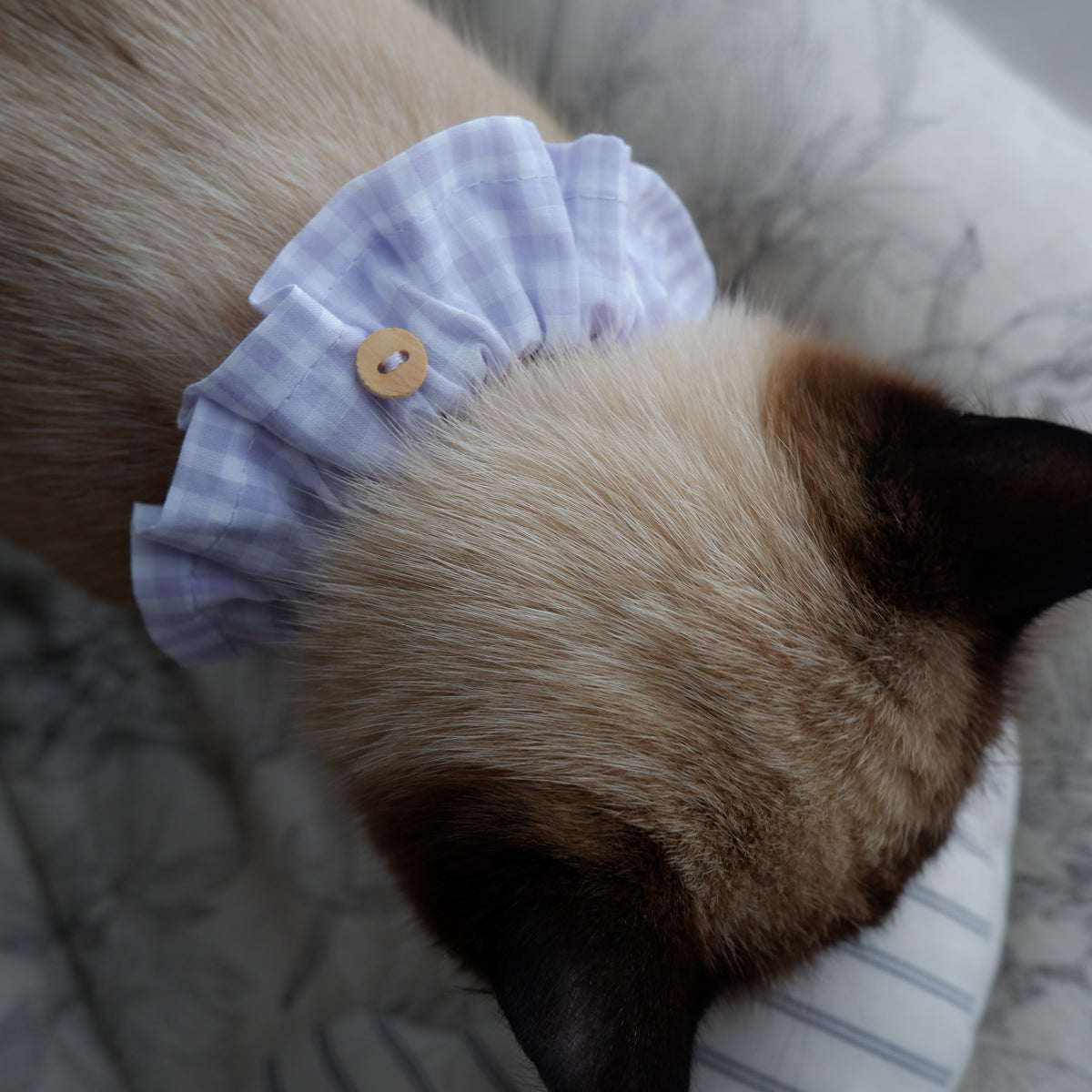 Cat-friendly cotton collar/ruffle [gingham/lavender]