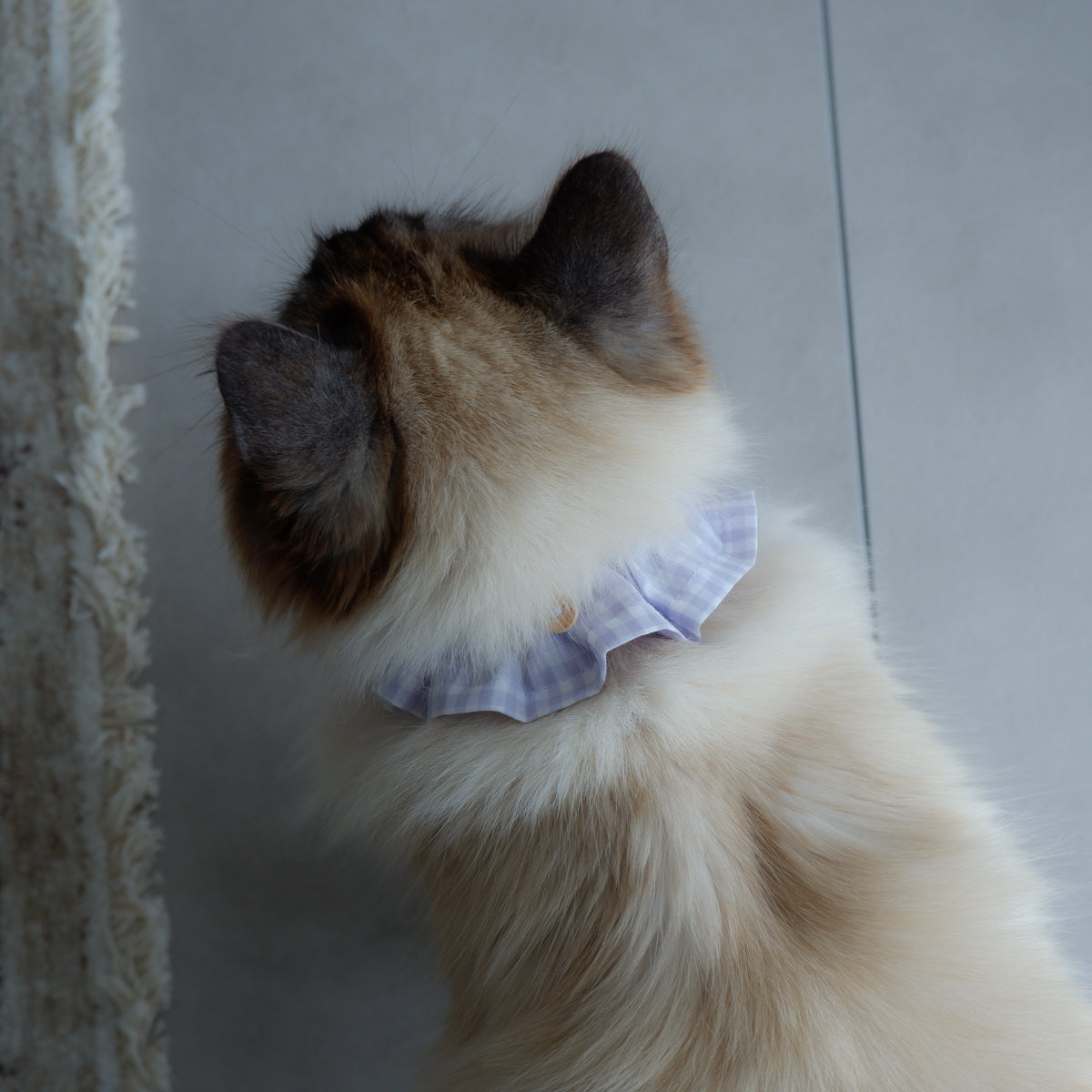 Cat-friendly cotton collar/ruffle [gingham/lavender]