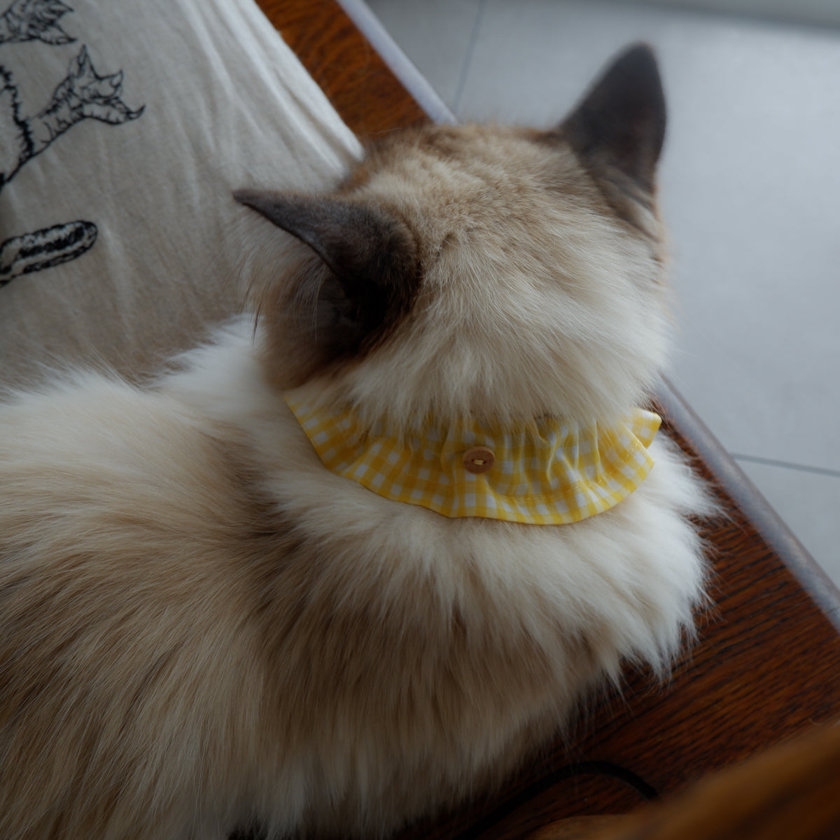 Cat-friendly cotton collar/ruffle [gingham/lemon]