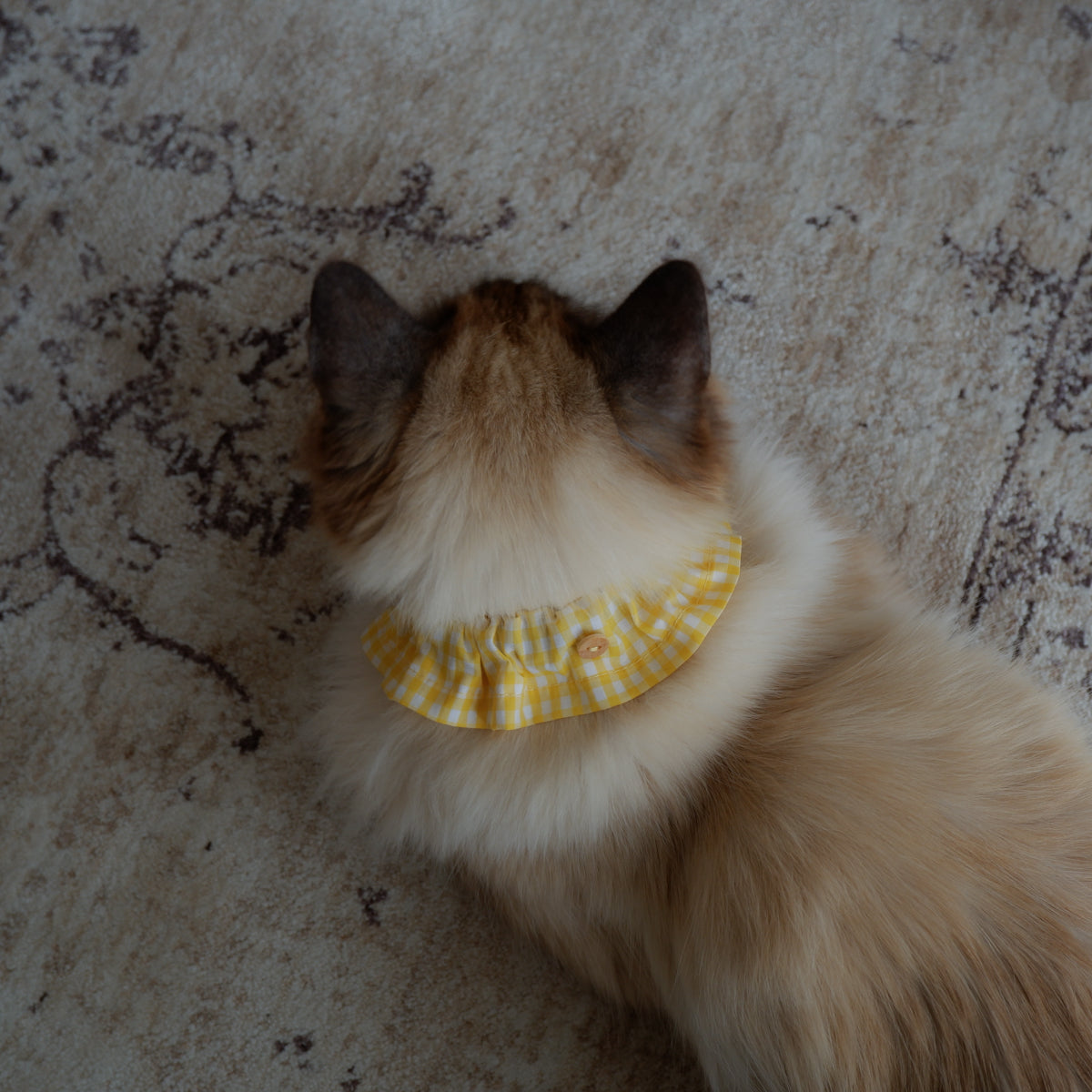 Cat-friendly cotton collar/ruffle [gingham/lemon]
