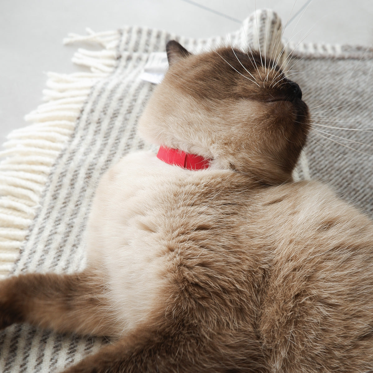 猫にやさしいコットン首輪/リボンなし【Red】