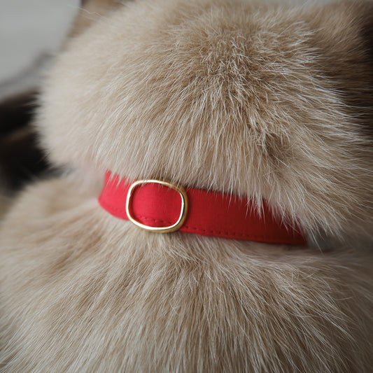 Cat-friendly cotton collar/without ribbon [Blue]