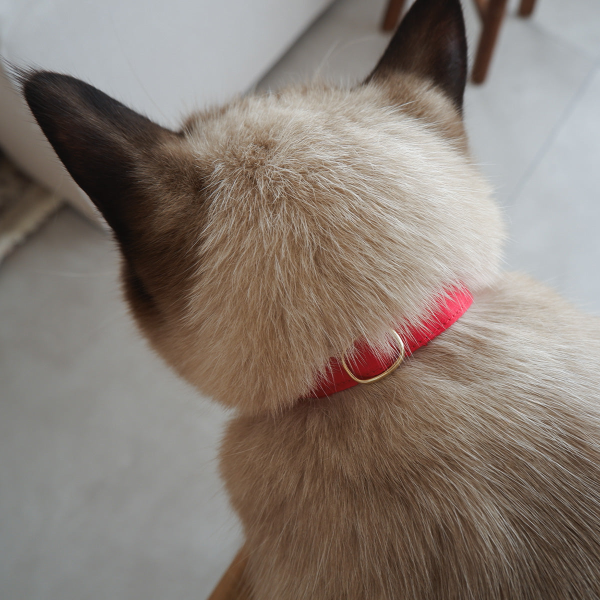 猫にやさしいコットン首輪/リボンなし【Red】