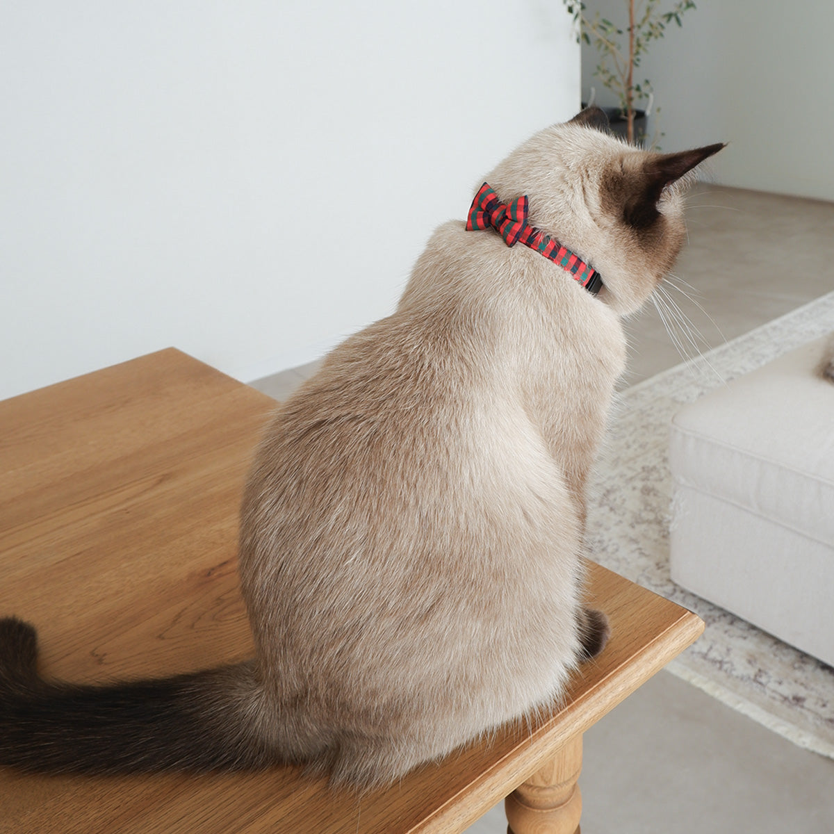 猫にやさしいコットン首輪/リボン【Tartan Red】