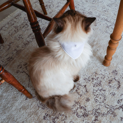 猫にやさしいスタイカラー【Trim Lace/ラベンダー】