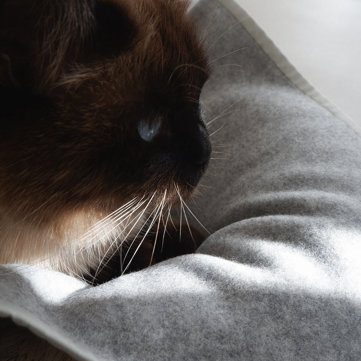 Wool Cat Blanket (ウールキャットブランケット)【Melange Light Gray】