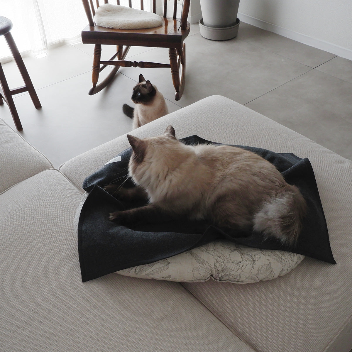 Wool Cat Blanket (ウールキャットブランケット)【Melange Gray】