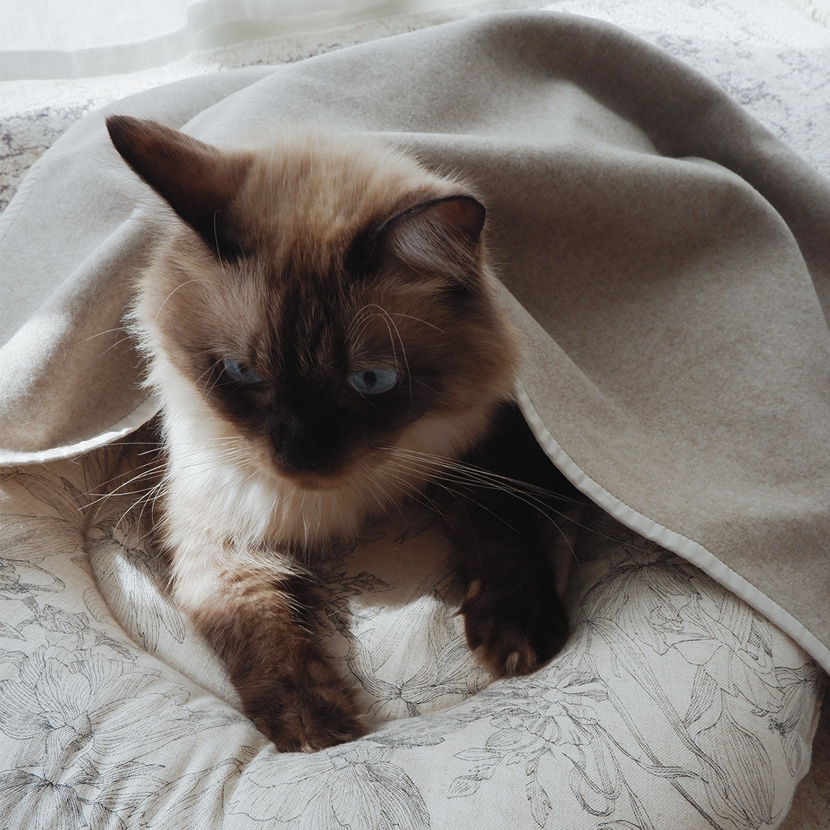 Wool Cat Blanket (ウールキャットブランケット)クォーターケット【Melange Greige】