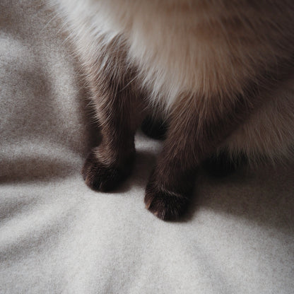 Wool Cat Blanket (ウールキャットブランケット)【Melange Greige】