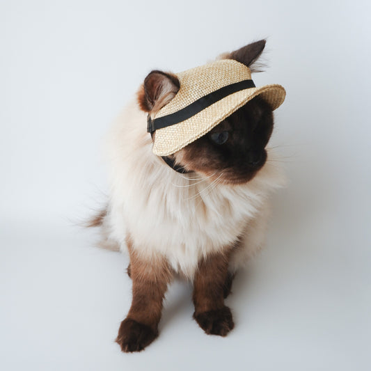 Garden of eden 猫の麦わら帽子【Onddoka別注】