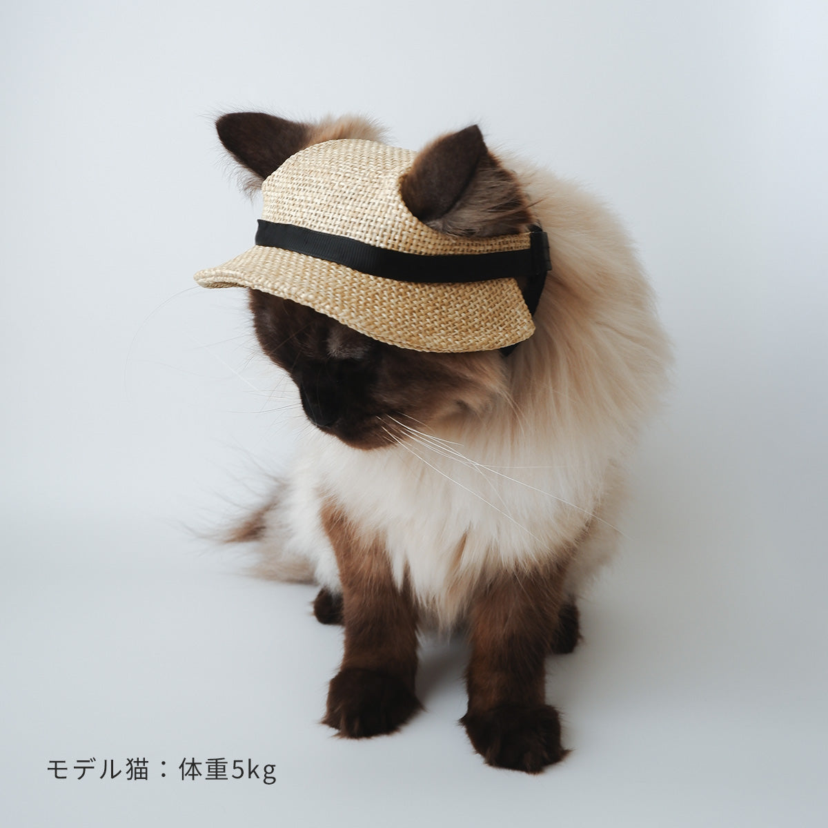 Garden of eden 猫の麦わら帽子【Onddoka別注】｜猫の日用品店onddoka