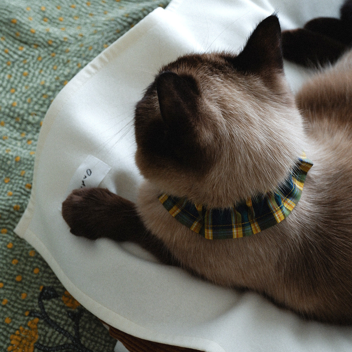 〈New color〉Wool Cat Blanket (ウールキャットブランケット)【OW】