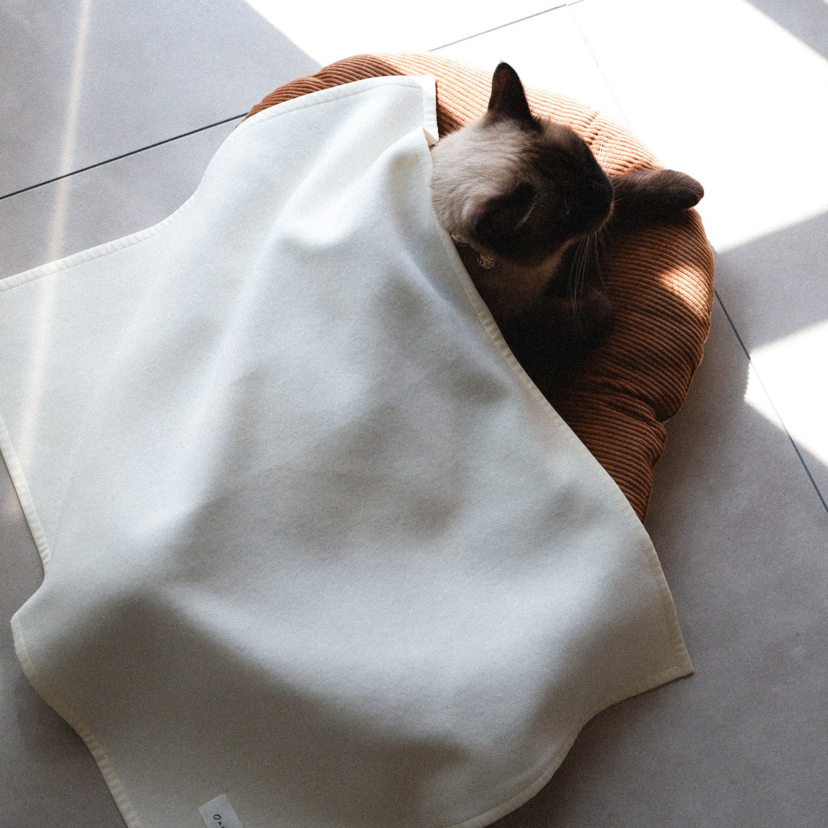 〈New color〉Wool Cat Blanket (ウールキャットブランケット)【OW】