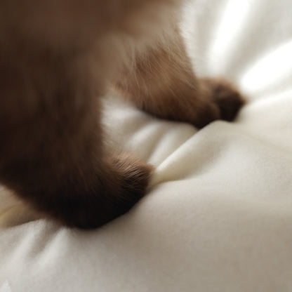 〈New color〉Wool Cat Blanket (ウールキャットブランケット)【OW】