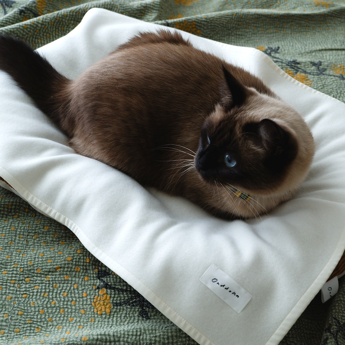 〈New color〉Wool Cat Blanket (ウールキャットブランケット)【OW】