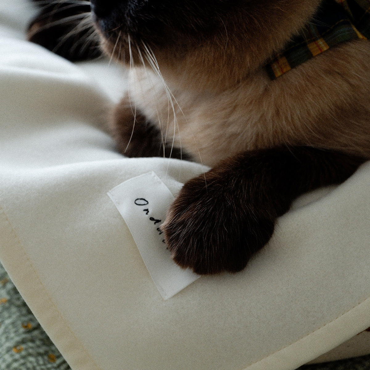 〈New color〉Wool Cat Blanket (ウールキャットブランケット)【OW】