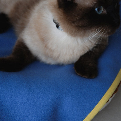 〈New color〉Wool Cat Blanket (ウールキャットブランケット)【Blue】
