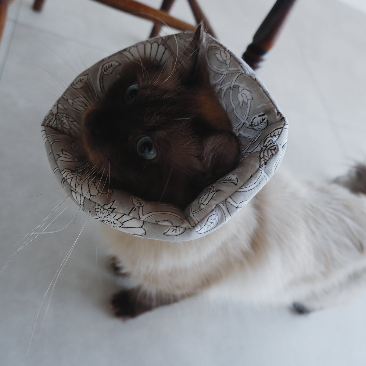 猫のやわらかエリザベスカラー【ハンドブロックプリント/Beige×Pink】