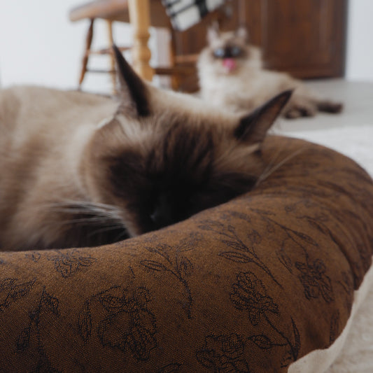 Fabric bed（ファブリックベッド）【Jacquard Flower/Brown】