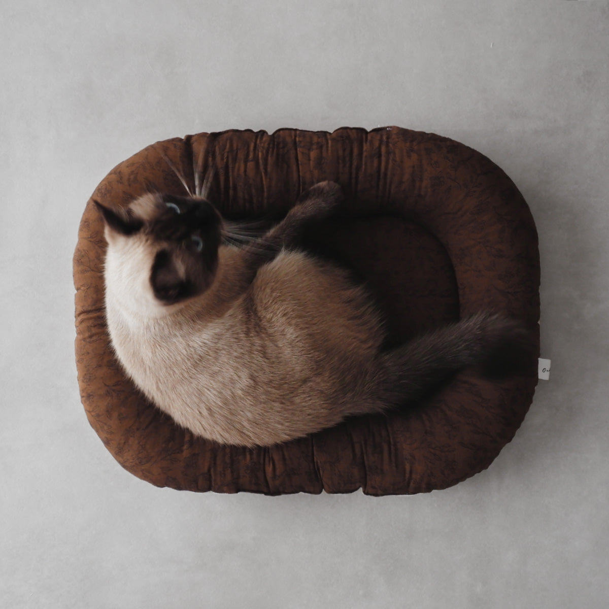 〈11/11(Tue) 발매〉Fabric bed(패브릭 베드)【Jacquard Flower/Brown】