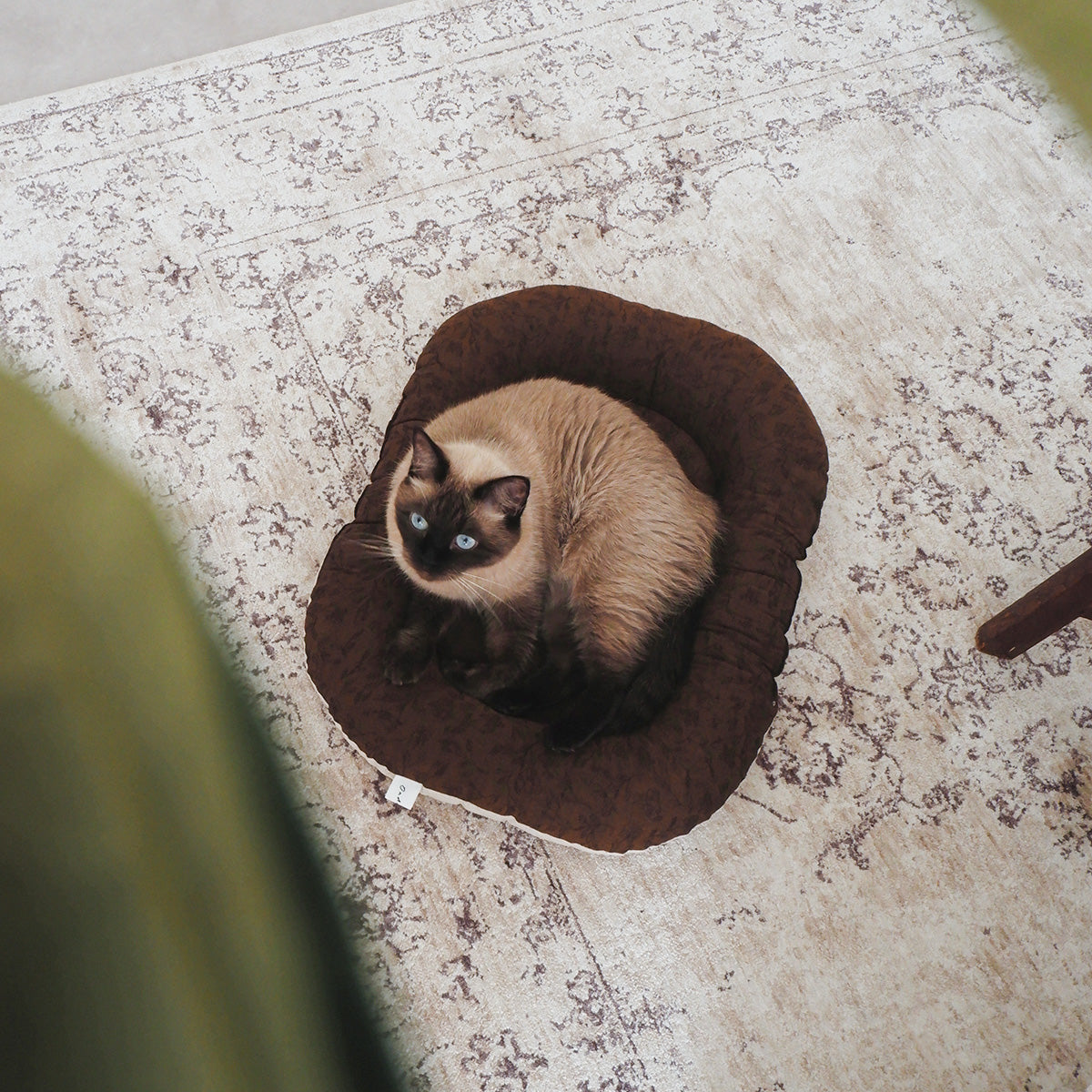 〈11/11(Tue) 발매〉Fabric bed(패브릭 베드)【Jacquard Flower/Brown】