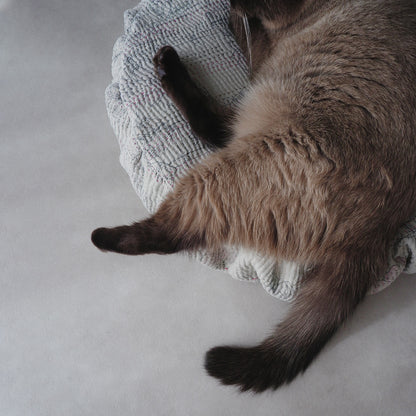 Fabric bed/무염색 오가닉 코튼【Apricot】