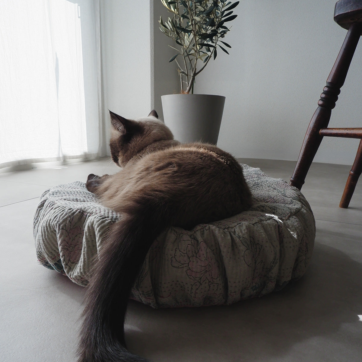 Fabric bed/무염색 오가닉 코튼【Apricot】