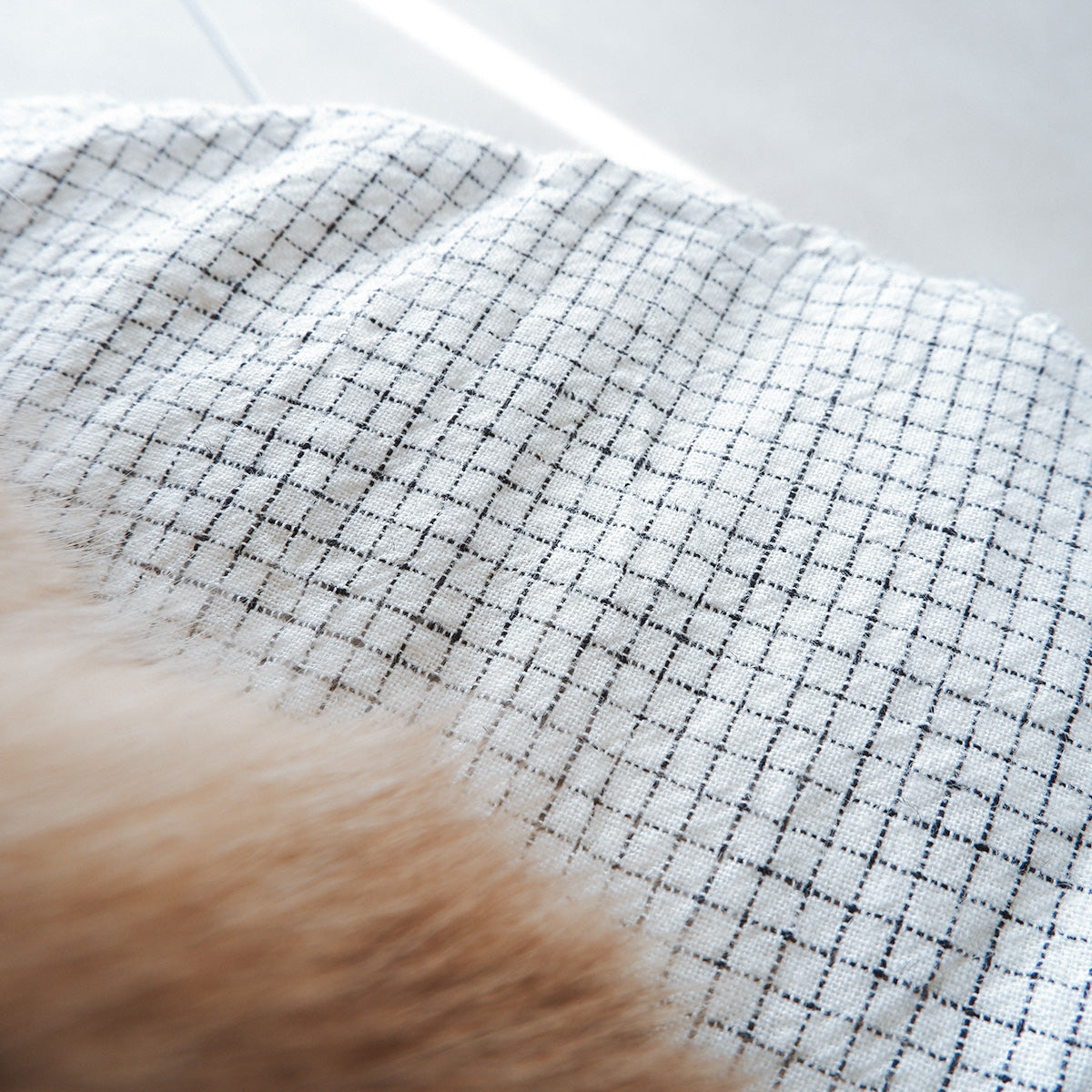 Pouf Cat Bed【ピンチェック/White】