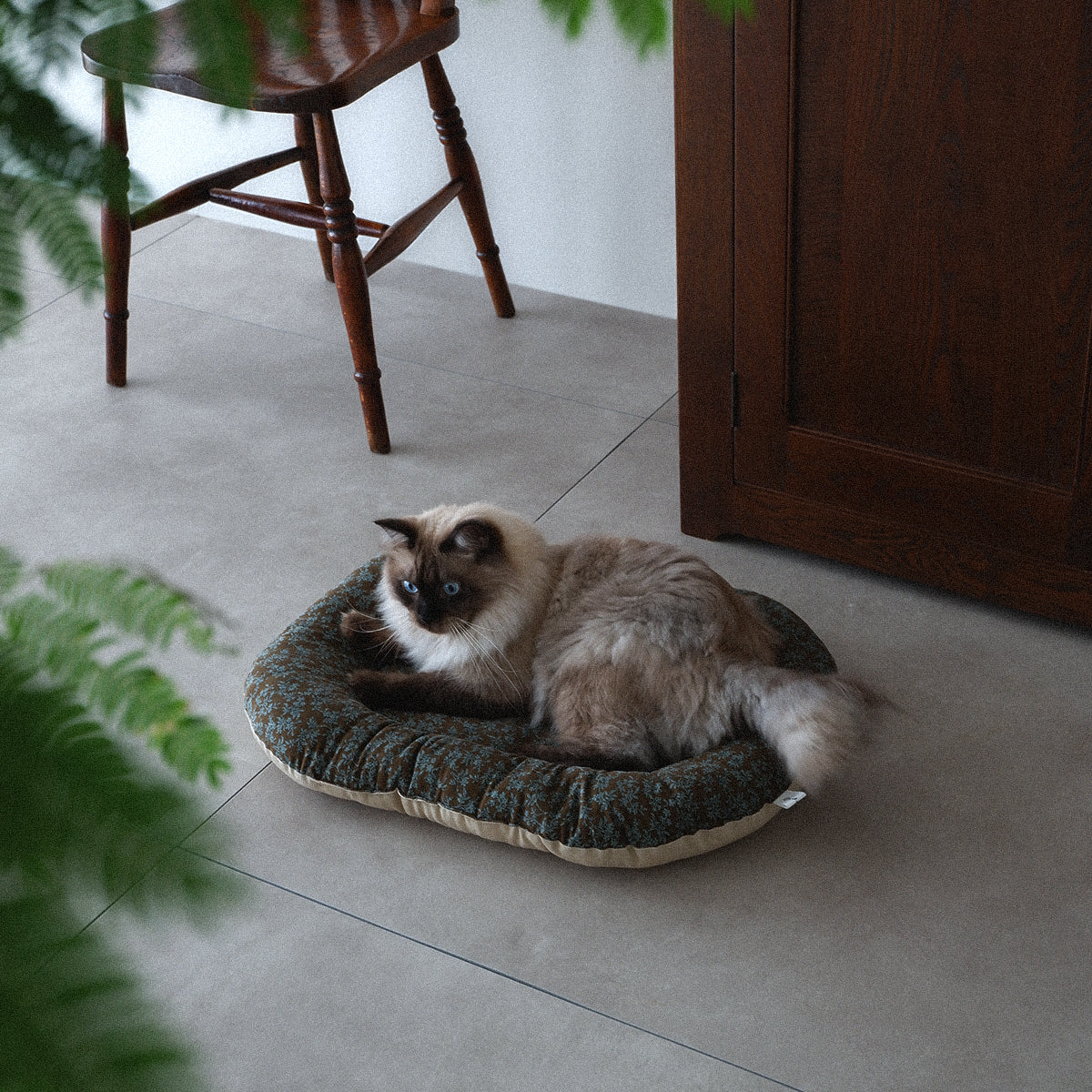 Fabric bed(패브릭 베드)【Blue Herbarium】