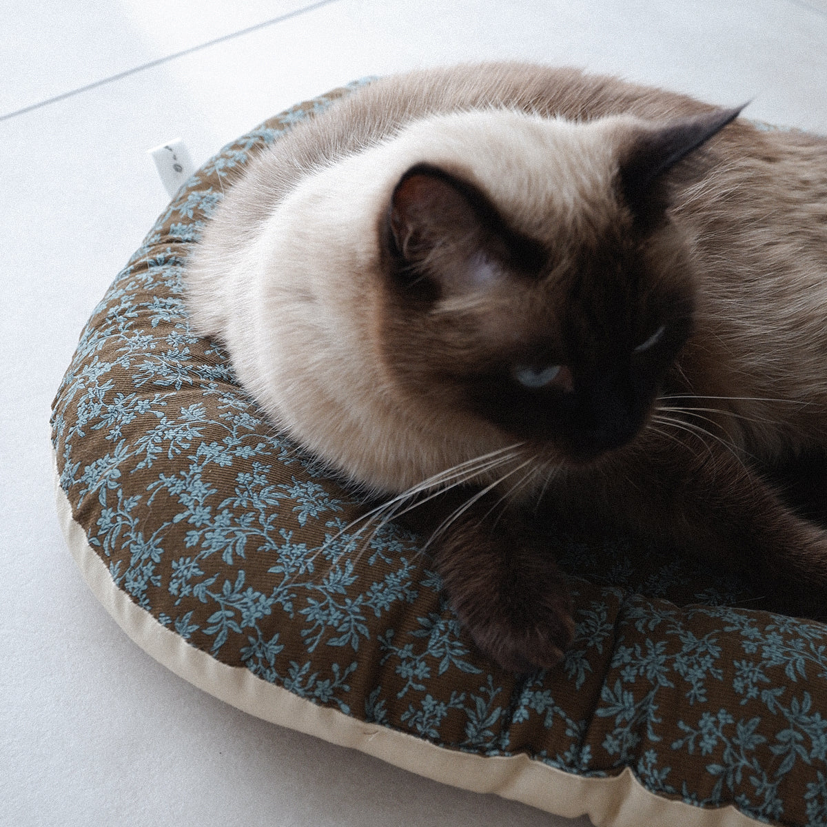 Fabric bed(패브릭 베드)【Blue Herbarium】