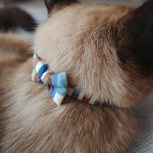 猫にやさしいコットン首輪/リボン【Liberty/Maksimus OR】