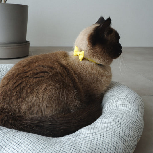 Fabric bed（ファブリックベッド）【ピンチェック/White】