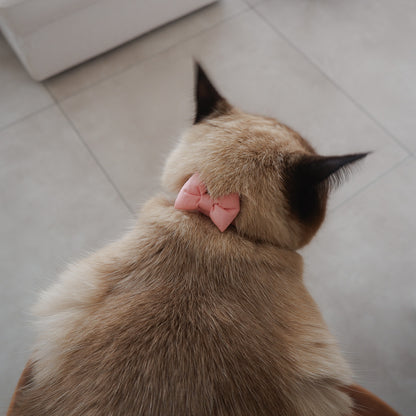고양이 친화적인 코튼 목걸이/리본【블루】