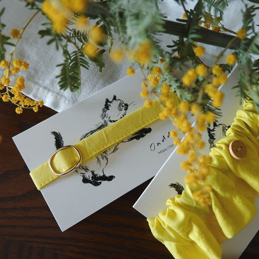 猫にやさしいコットン首輪/リボンなし【Mimosa】