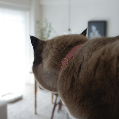 고양이 친화적인 코튼 목걸이 / 리본 없음 [블루]