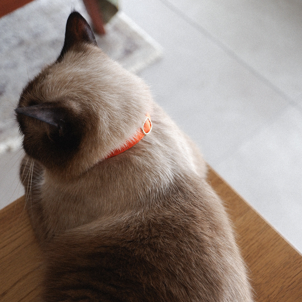 猫にやさしいコットン首輪/リボンなし【Orange/MW】