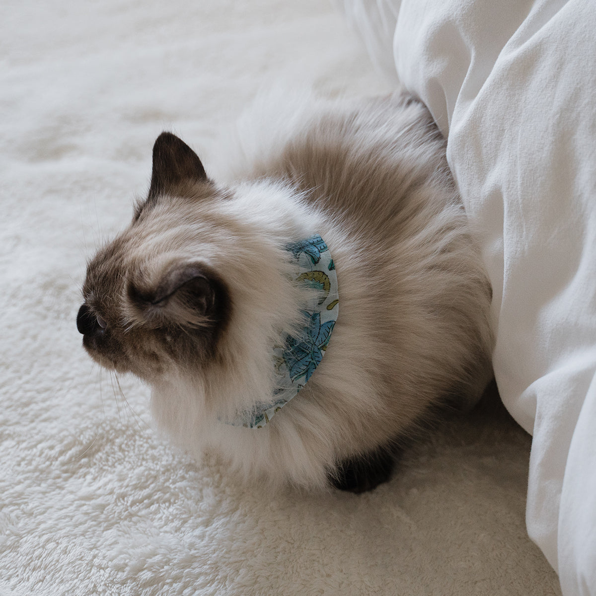 猫にやさしいコットン首輪/フリル【Leaf】
